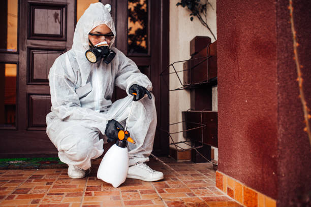 Attic and Crawl Space Rodent Treatment in Sierra Madre